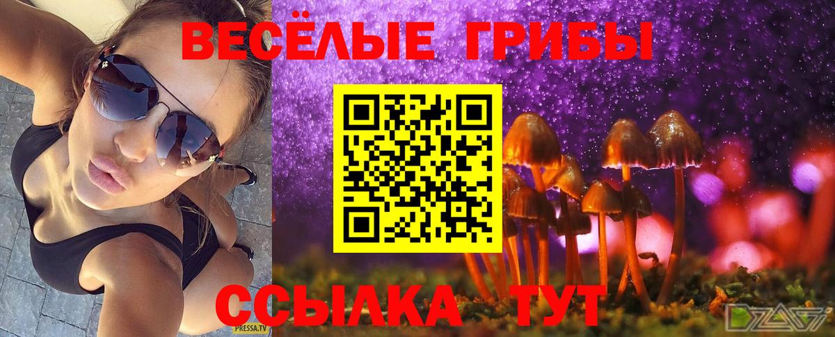 Галлюциногенные грибы Psilocybe Ростов-на-Дону
