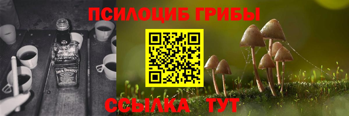 Галлюциногенные грибы MAGIC MUSHROOMS  Вход с VPN  Ростов-на-Дону 